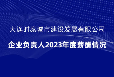大連時泰城市建設(shè)發(fā)展有限公司 企業(yè)負(fù)責(zé)人2023年度薪酬情況